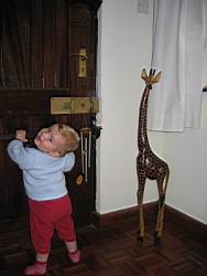 IMG_9344.jpg